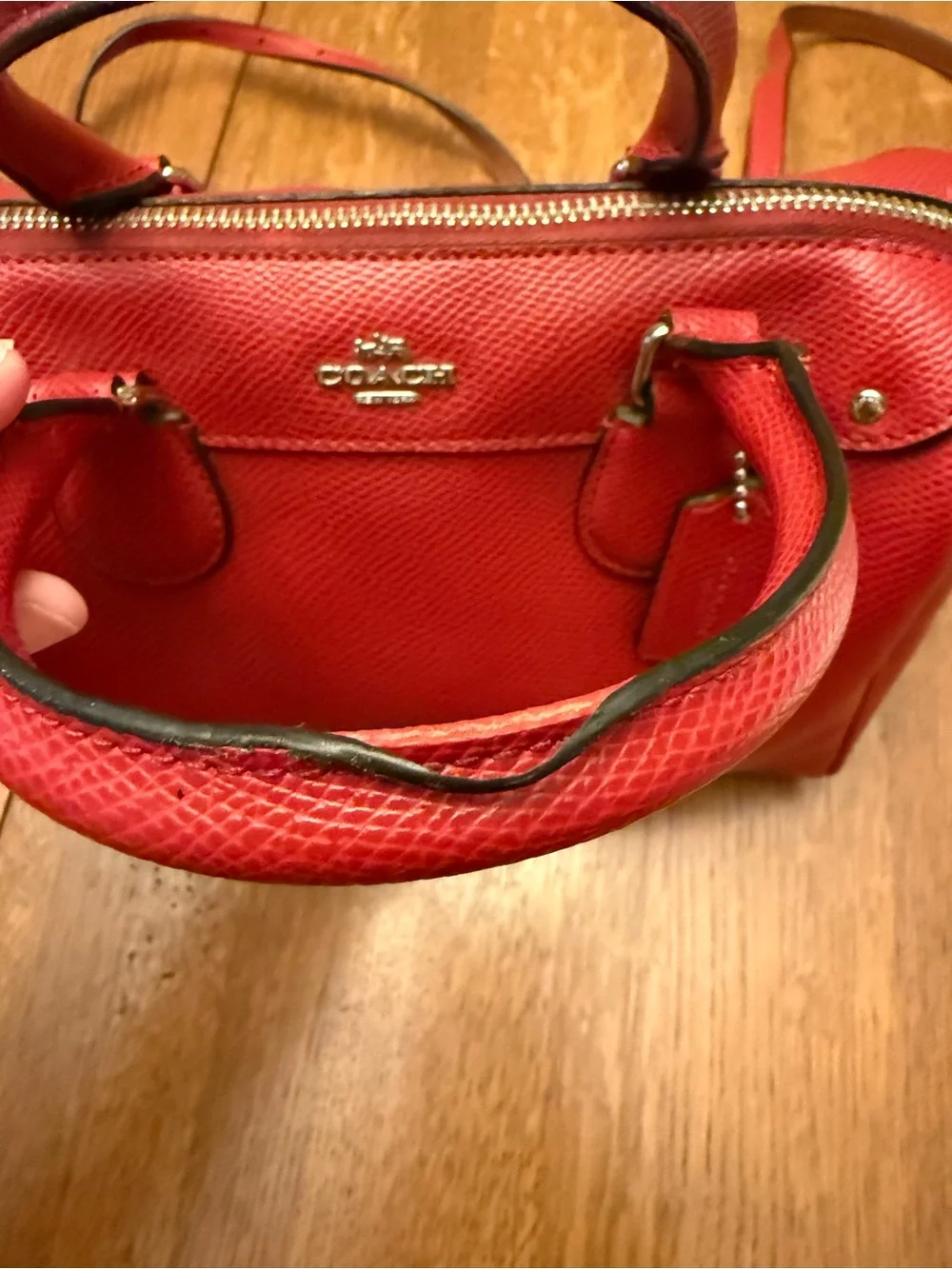 Coach snoopy peanuts